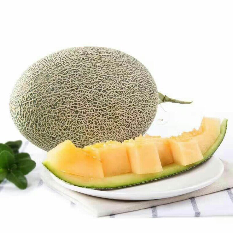 ϲ˹۹ ϶˹ܹ