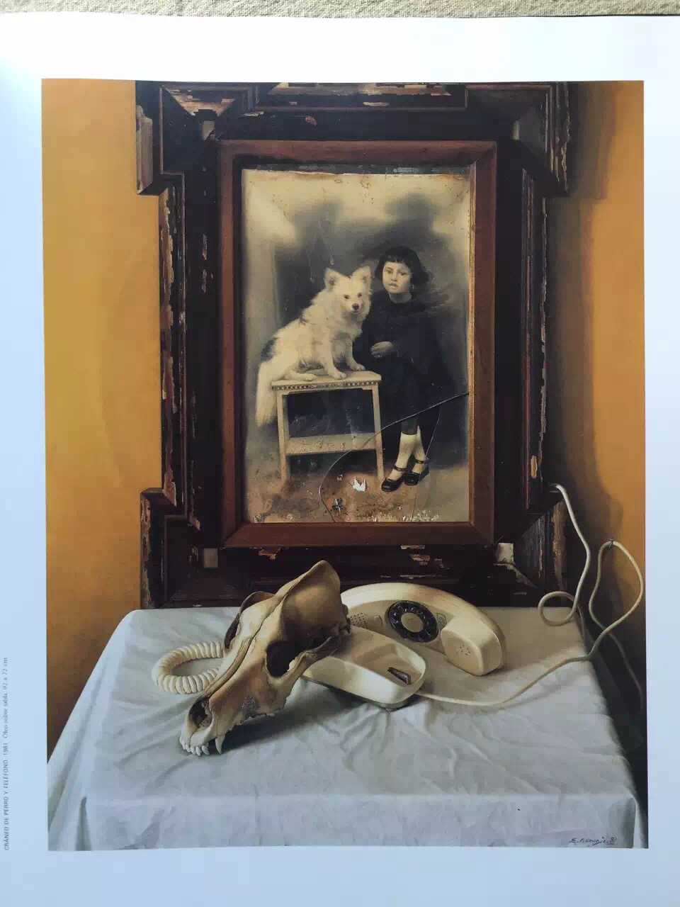 David Naranjo,JosephSmileuske naranjo 纳兰霍 1999年(西班牙原版精装)3九五成新