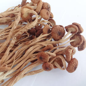 有机茶树菇120克 包邮 | 浙江丽水 信洲
