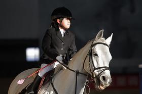 10月29日 ︳马背上的小勇士  ︳英国文化体验系列之马术体验日
