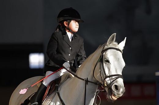 10月29日 ︳马背上的小勇士  ︳英国文化体验系列之马术体验日 商品图0