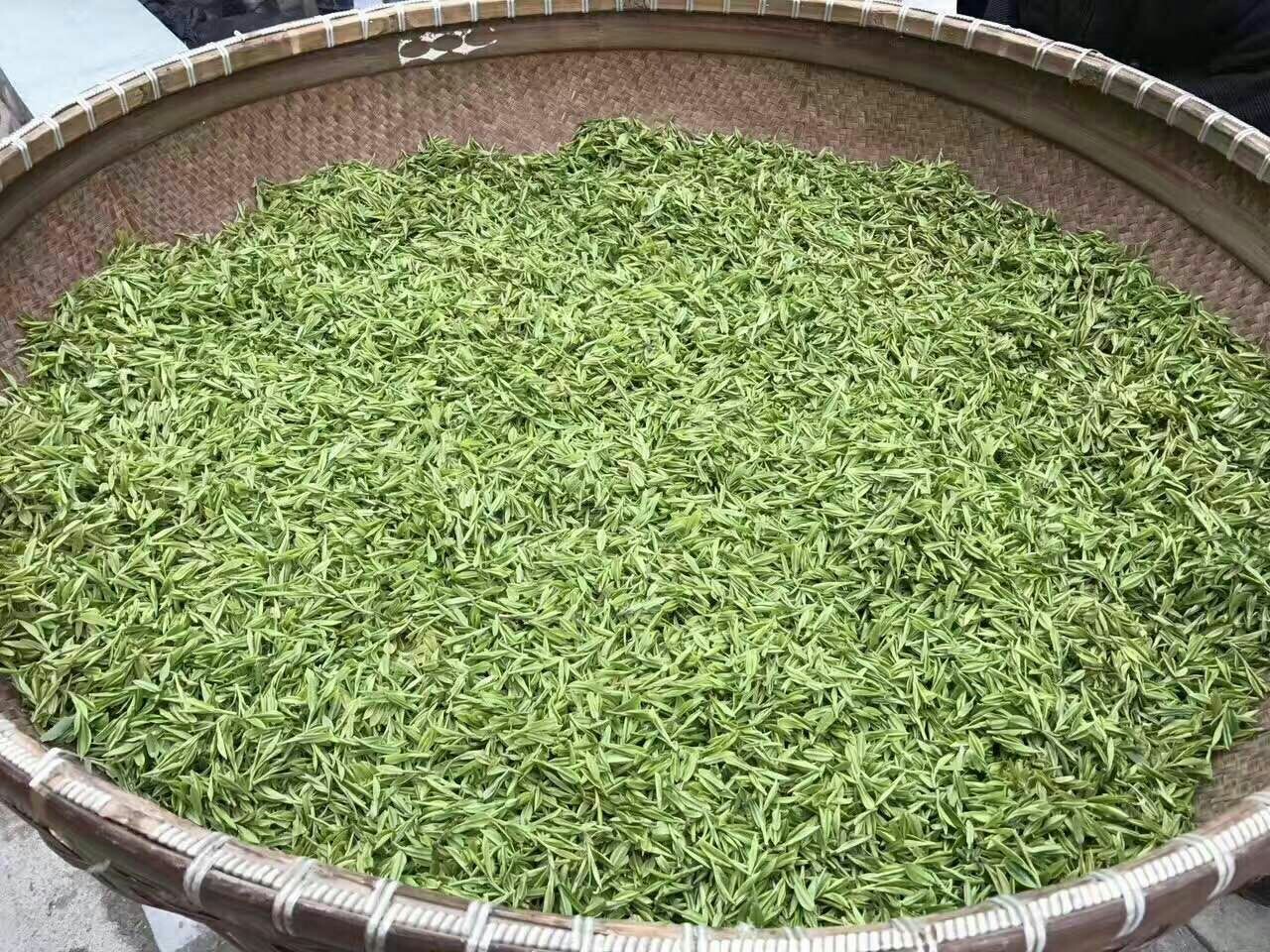 绿茶.龙井 600元/25克、全國包郵