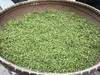 绿茶.龙井 600元/25克、全國包郵 商品缩略图0