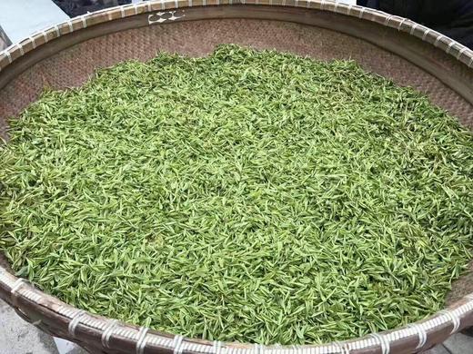 绿茶.龙井 600元/25克、全國包郵 商品图0
