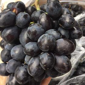 澳洲无籽黑提