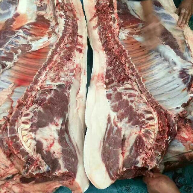 杀好的猪肉,300元为定金,现场挑选屠宰,整头出售,毛猪15元一斤.