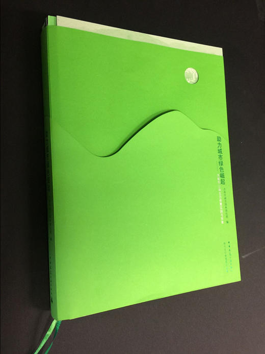 助力城市绿色崛起-济南市山体生态修复实践与探索 商品图0