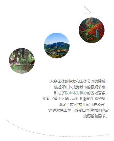 助力城市绿色崛起-济南市山体生态修复实践与探索 商品图4