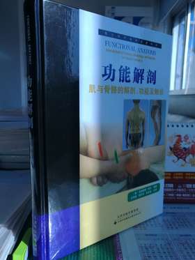 功能解剖：肌与骨骼的解剖——功能及触诊