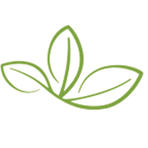 绿叶子超市200511