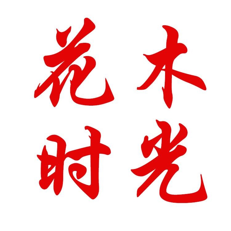 花木时光鲜花200511