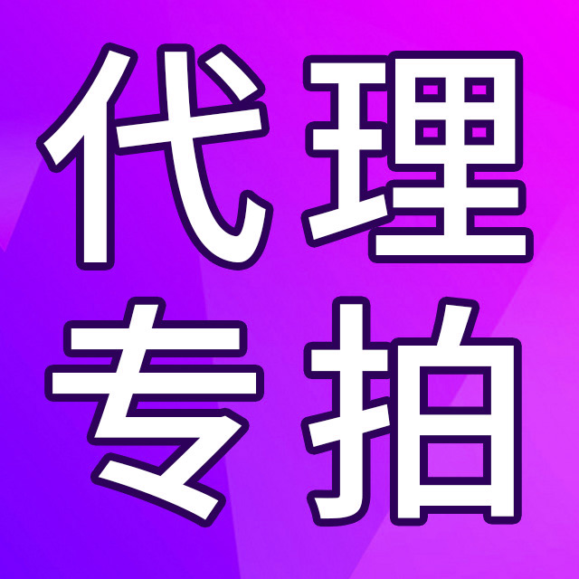代理商付款专拍一元