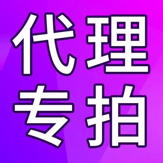 代理商付款专拍一元 商品图0