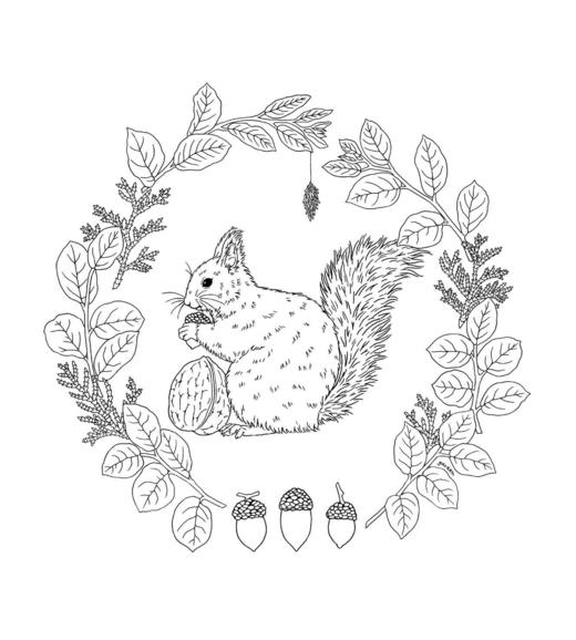 花鸟乐园 商品图1