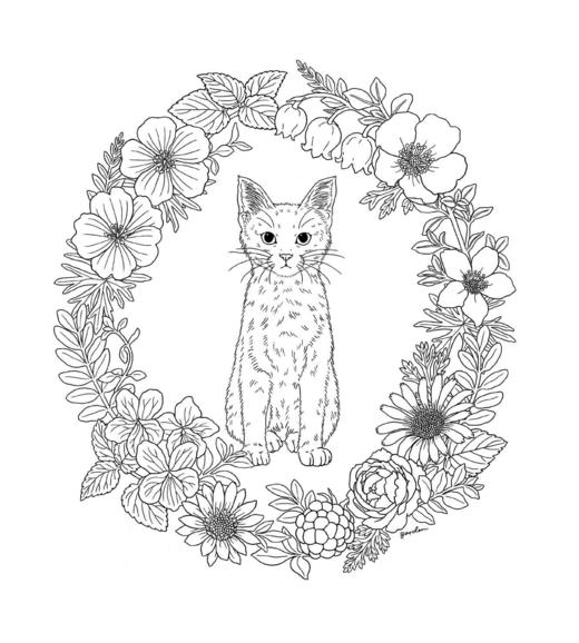 花鸟乐园 商品图2