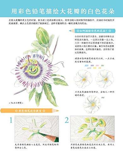 夏日花绘 商品图3