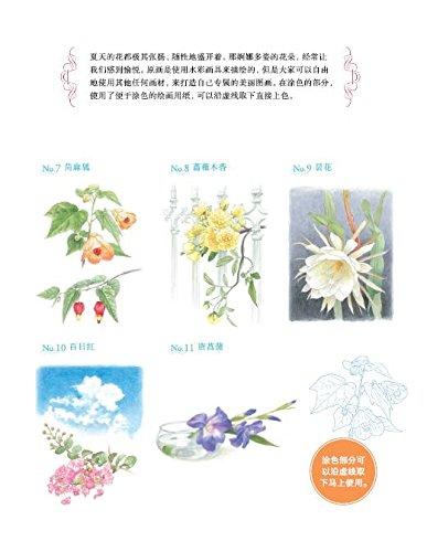 夏日花绘 商品图1