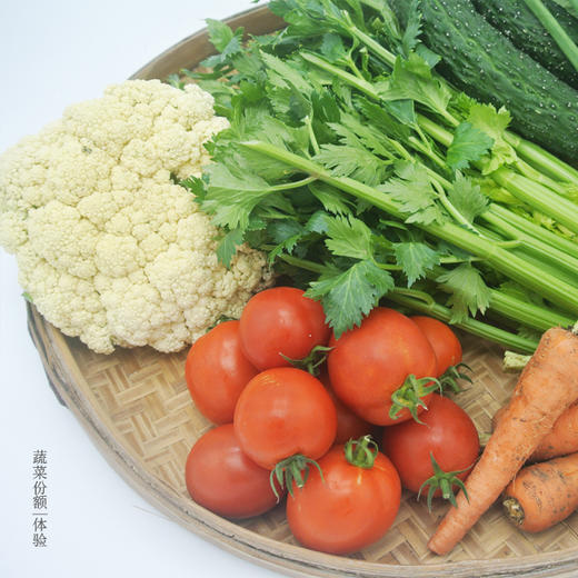 绿家自产 | 有机蔬菜9次体验份额（17年） 商品图1