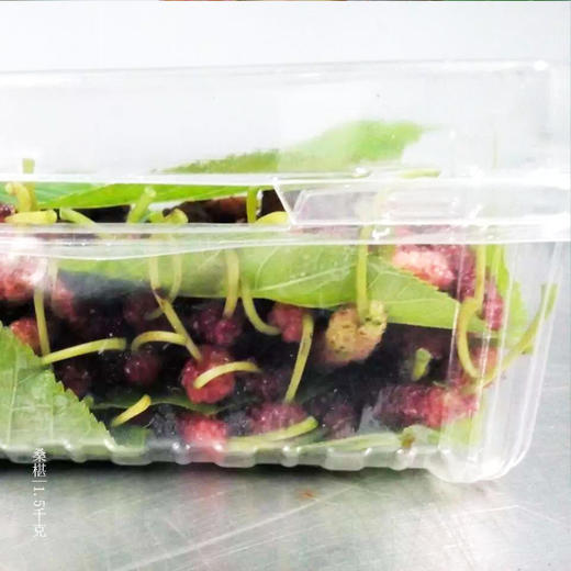 绿家自产 | 有机桑葚6盒团购 商品图1