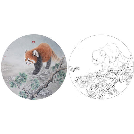 工笔动物白描底稿-李保山-小猫熊小品-多种白描尺寸可选-EL08 商品图0