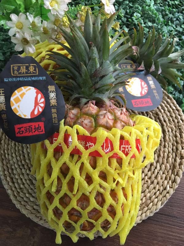 台湾树上熟凤梨(肉质绵嫩,汁液粘稠)