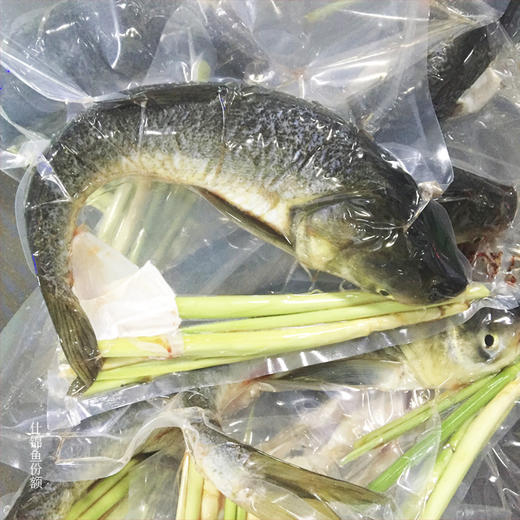 绿家自产 | 生态鱼份额 商品图5