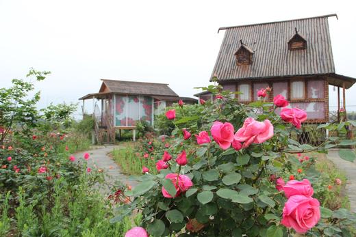 （永久下架）【预付】“醉美春日”——建德玫瑰之约 商品图0