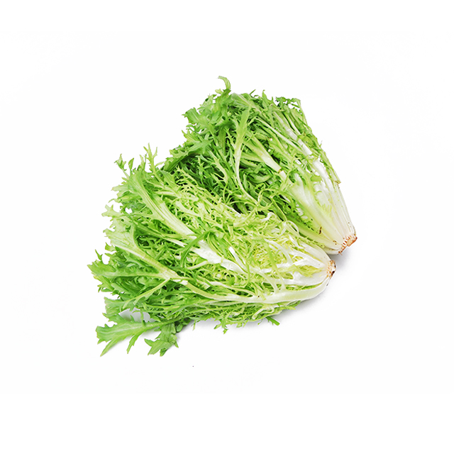 苦苣(有机)250g