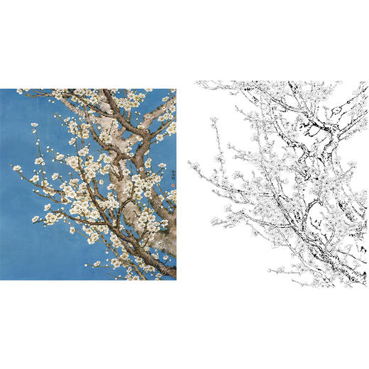 工笔花鸟白描底稿-花卉白梅花-金鸿钧-斗方小品册页-JR05 商品图0