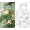 竖幅工笔花鸟白描底稿-金鸿钧荷花鹡鸰-JR09 商品缩略图0
