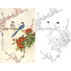 竖幅工笔花鸟白描底稿-金鸿钧-梅花山茶花《冬艳》-多种白描尺寸可选-JR07