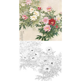 工笔花鸟白描底稿-芍药-金鸿钧《遗爱》-斗方小品册页-JR20
