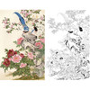 竖幅工笔花鸟白描底稿-牡丹-金鸿钧《春色满园》-多种白描尺寸可选-JR04 商品缩略图0