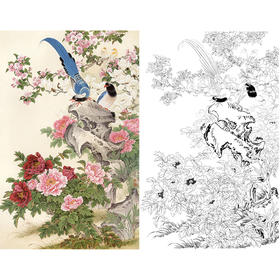 竖幅工笔花鸟白描底稿-牡丹-金鸿钧《春色满园》-多种白描尺寸可选-JR04
