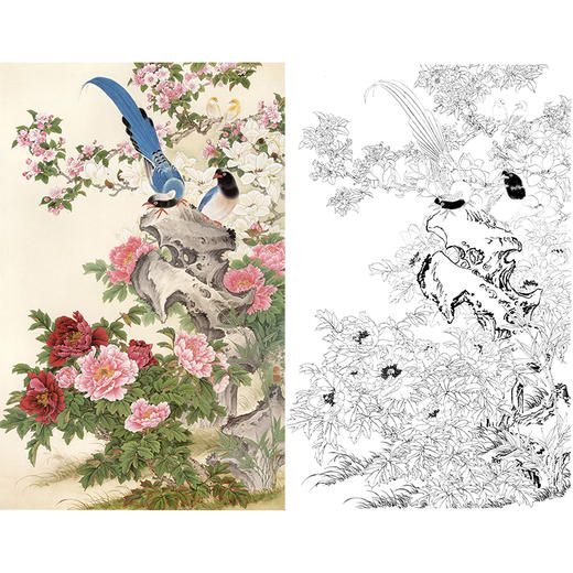 竖幅工笔花鸟白描底稿-牡丹-金鸿钧《春色满园》-多种白描尺寸可选-JR04 商品图0