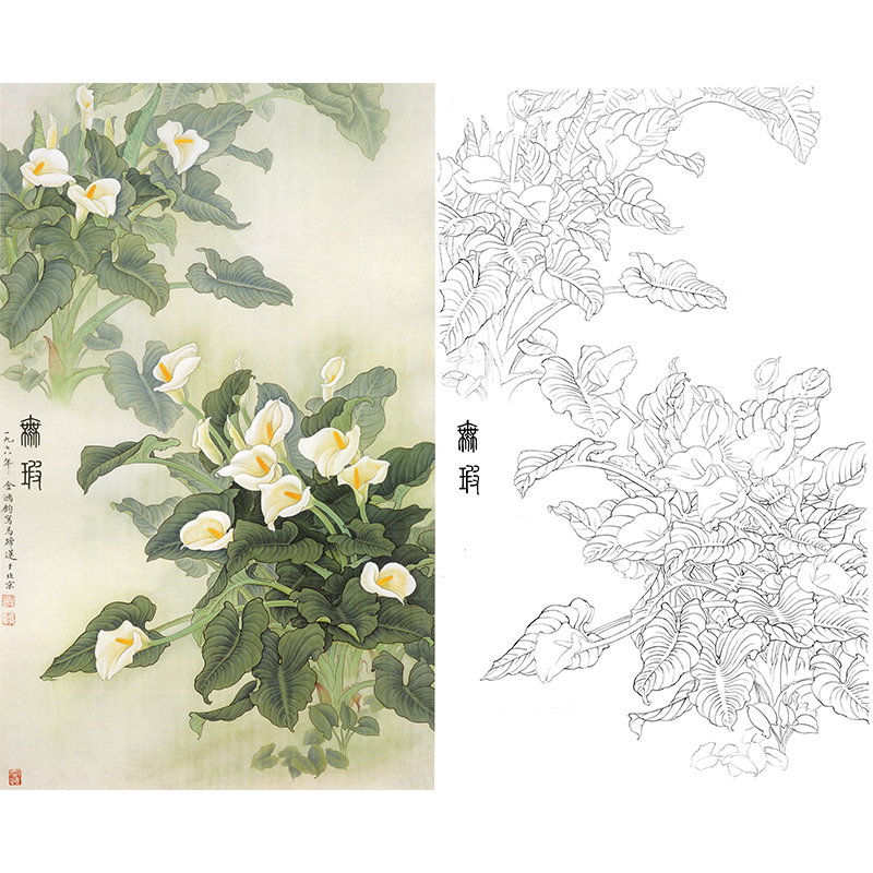 竖幅工笔花鸟白描底稿-花卉马蹄莲花-金鸿钧《无暇》-多种白描尺寸可选-JR17