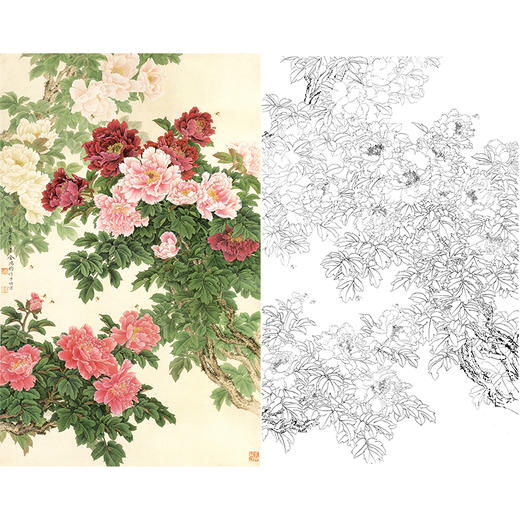竖幅工笔花鸟白描底稿-牡丹-金鸿钧《繁荣茂盛》-多种白描尺寸可选-JR02 商品图0