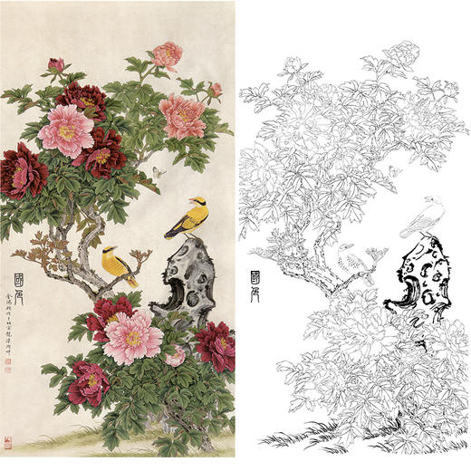 竖幅工笔花鸟白描底稿-牡丹-金鸿钧《国色》-多种白描尺寸可选-JR08 商品图0