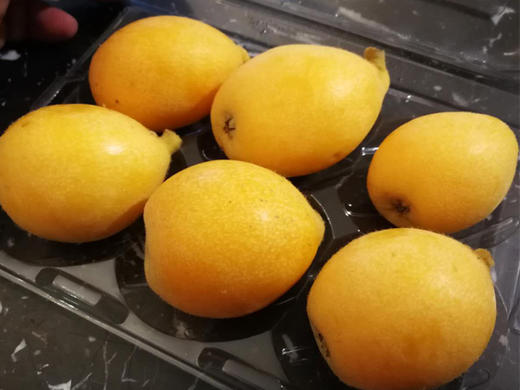 枇杷 商品图0
