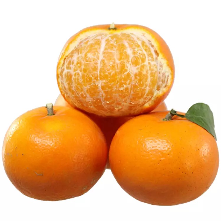 ָ
