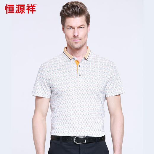 恒源祥男士夏新款商务翻领T恤 01155021 商品图3