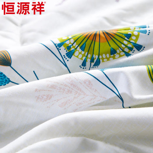恒源祥家纺轻舞优棉凉爽被 TSB2012 商品图4