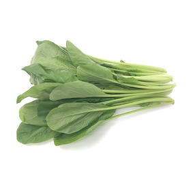 菘苗 320-350g/袋