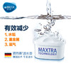碧然德（BRITA） Maxtra 双效滤芯 单个，4个装，6个装 商品缩略图1