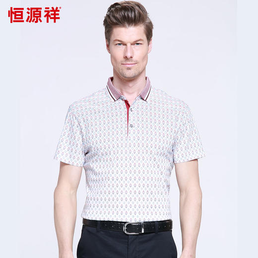 恒源祥男士夏新款商务翻领T恤 01155021 商品图0