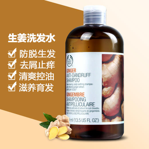 【现货清仓】老版本 英国 The body shop 生姜洗发水400ml 商品图0