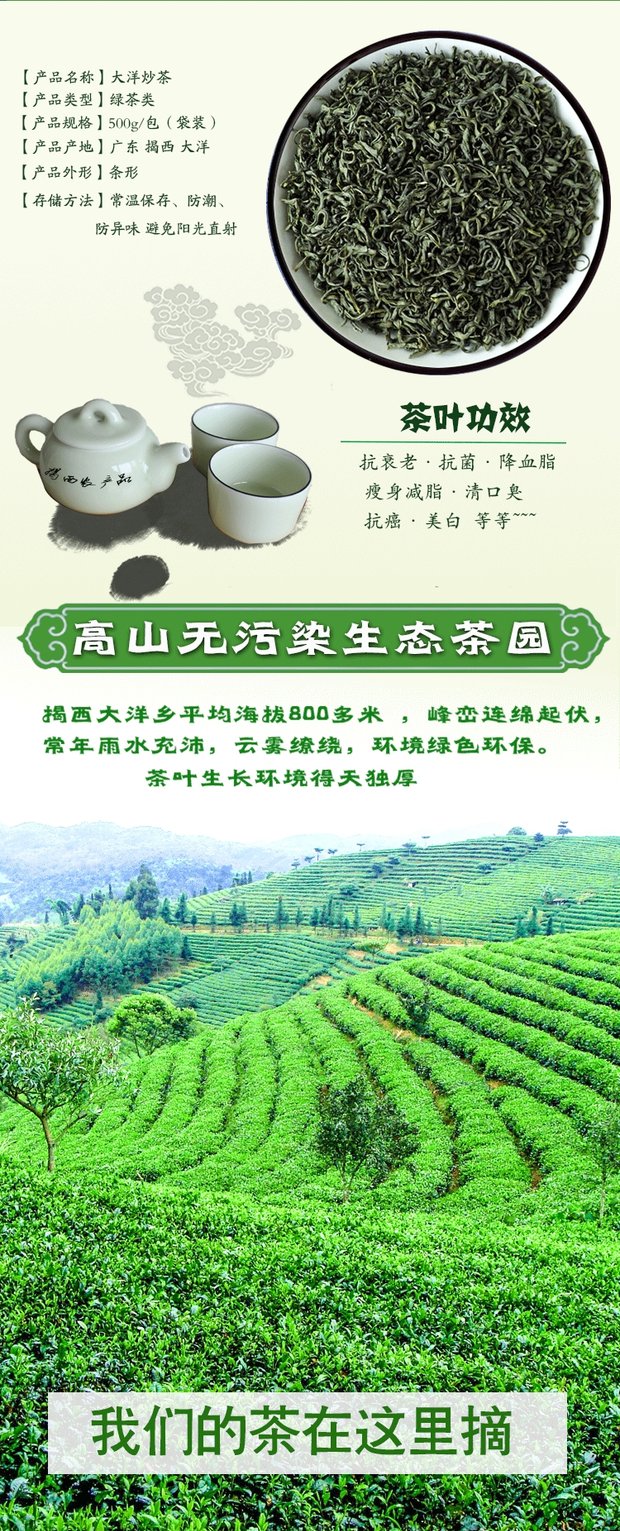 正宗揭西农特产大洋高山炒茶500g包邮潮汕揭阳2017