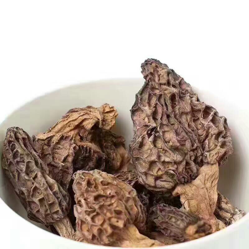 西藏羊肚菌