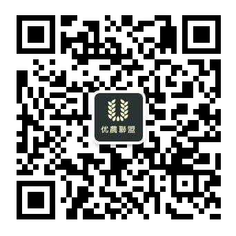 优农联盟农产品批发市场171128