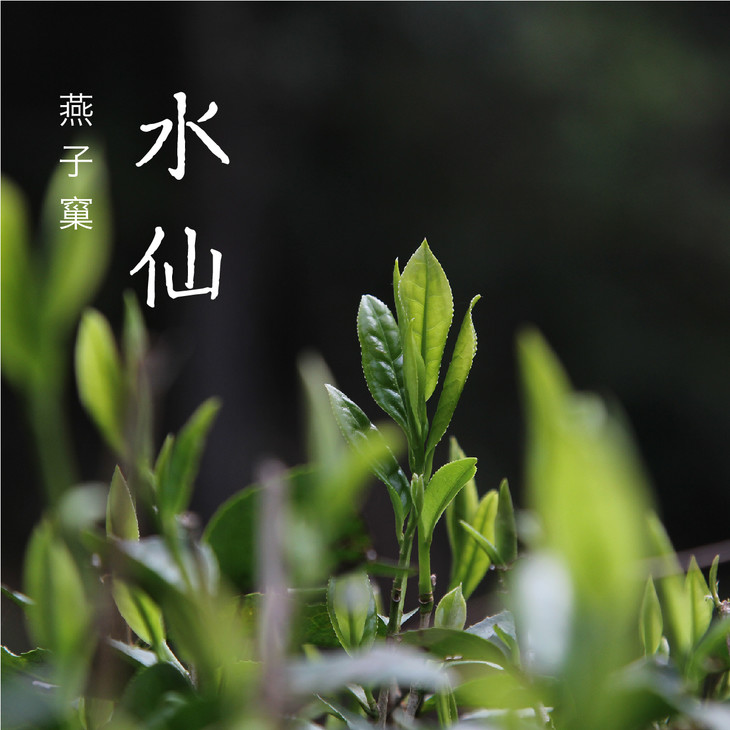 预售】燕子窠.水仙 花果香 256克(8克